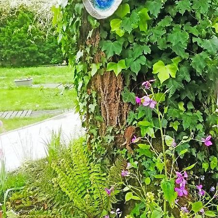 Mirguet Au Jardin Saint-Elix-le-Chateau Exterior foto