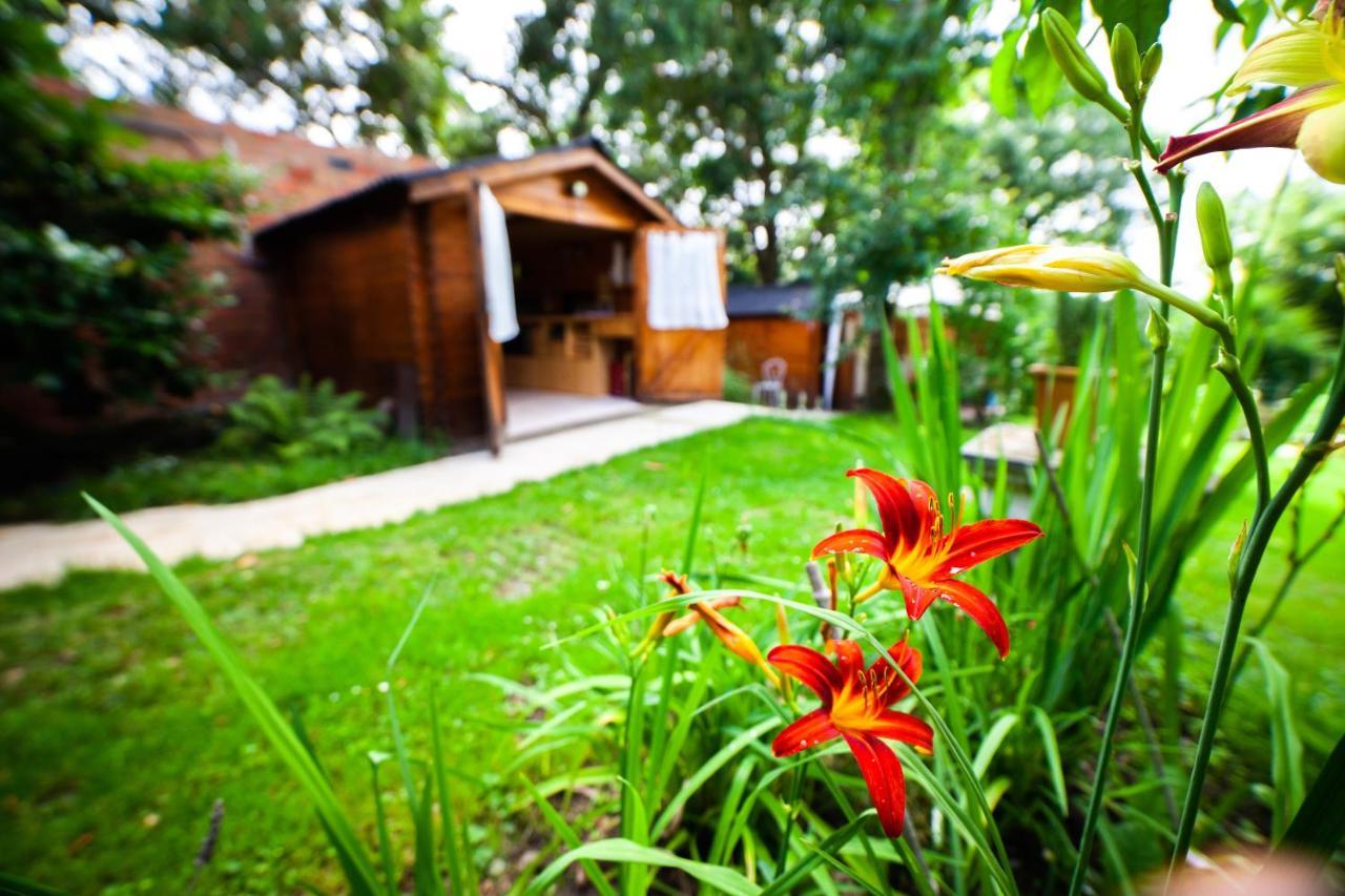 Mirguet Au Jardin Saint-Elix-le-Chateau Exterior foto
