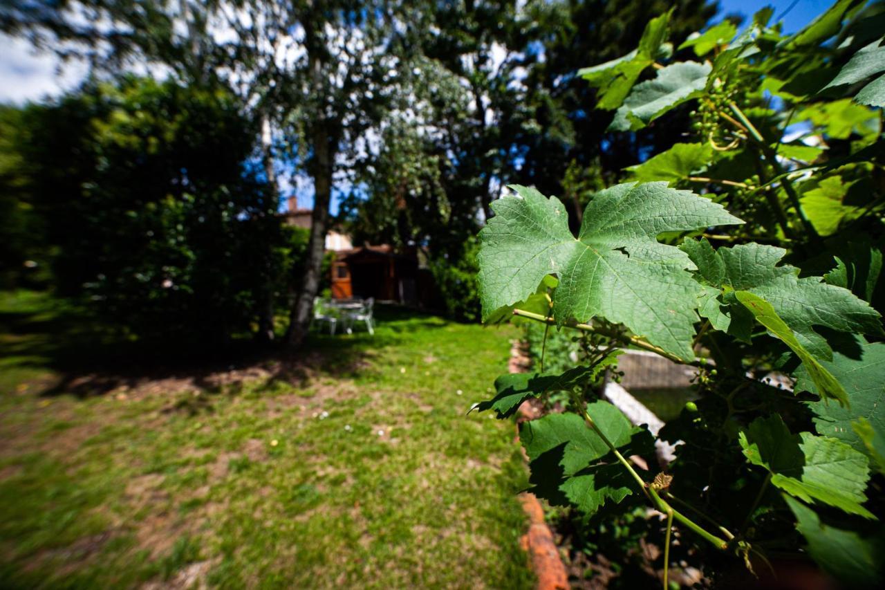 Mirguet Au Jardin Saint-Elix-le-Chateau Exterior foto