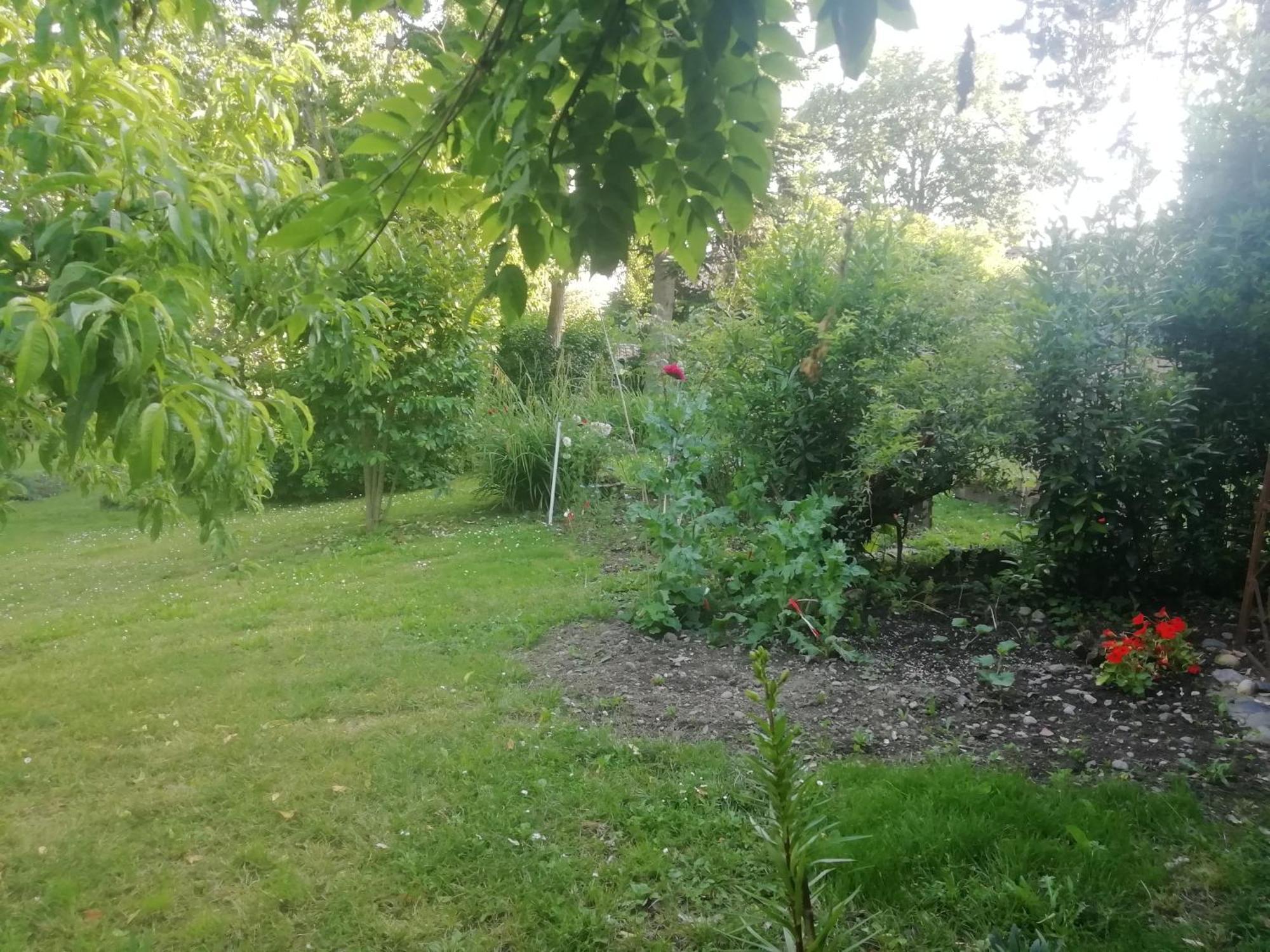Mirguet Au Jardin Saint-Elix-le-Chateau Exterior foto